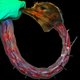 Image for article titled This dinosaur's huge body didn't work the way we thought it did